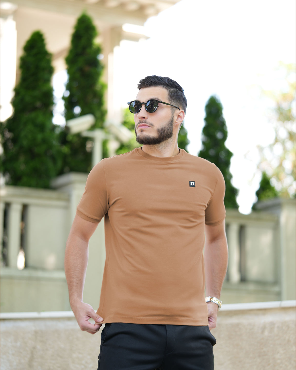 LAZARE™ ELEGANT - LION